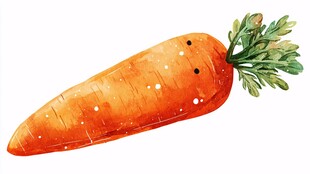 手绘水彩胡萝卜插画