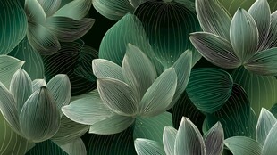 清新绿意莲花背景图案