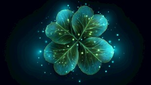 梦幻四叶草 闪烁微光之美